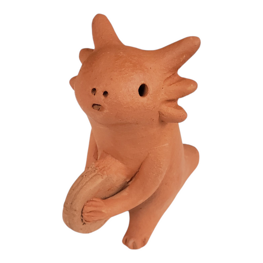 Barro Rojo Axolotl Musician from Oaxaca Mexico