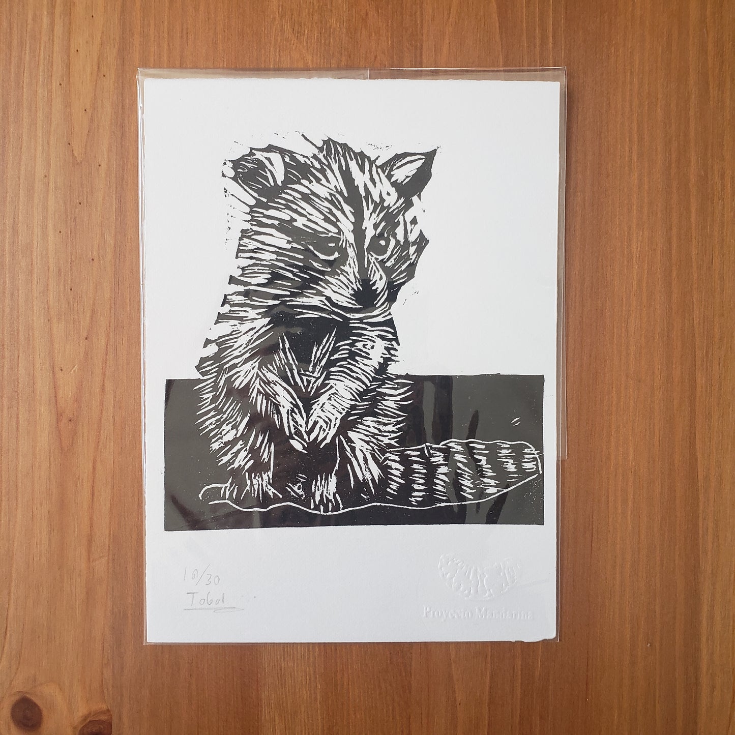 Tobal Art Prints from Oaxaca, Mexico