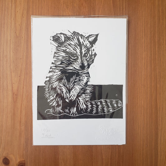 Tobal Art Prints from Oaxaca, Mexico