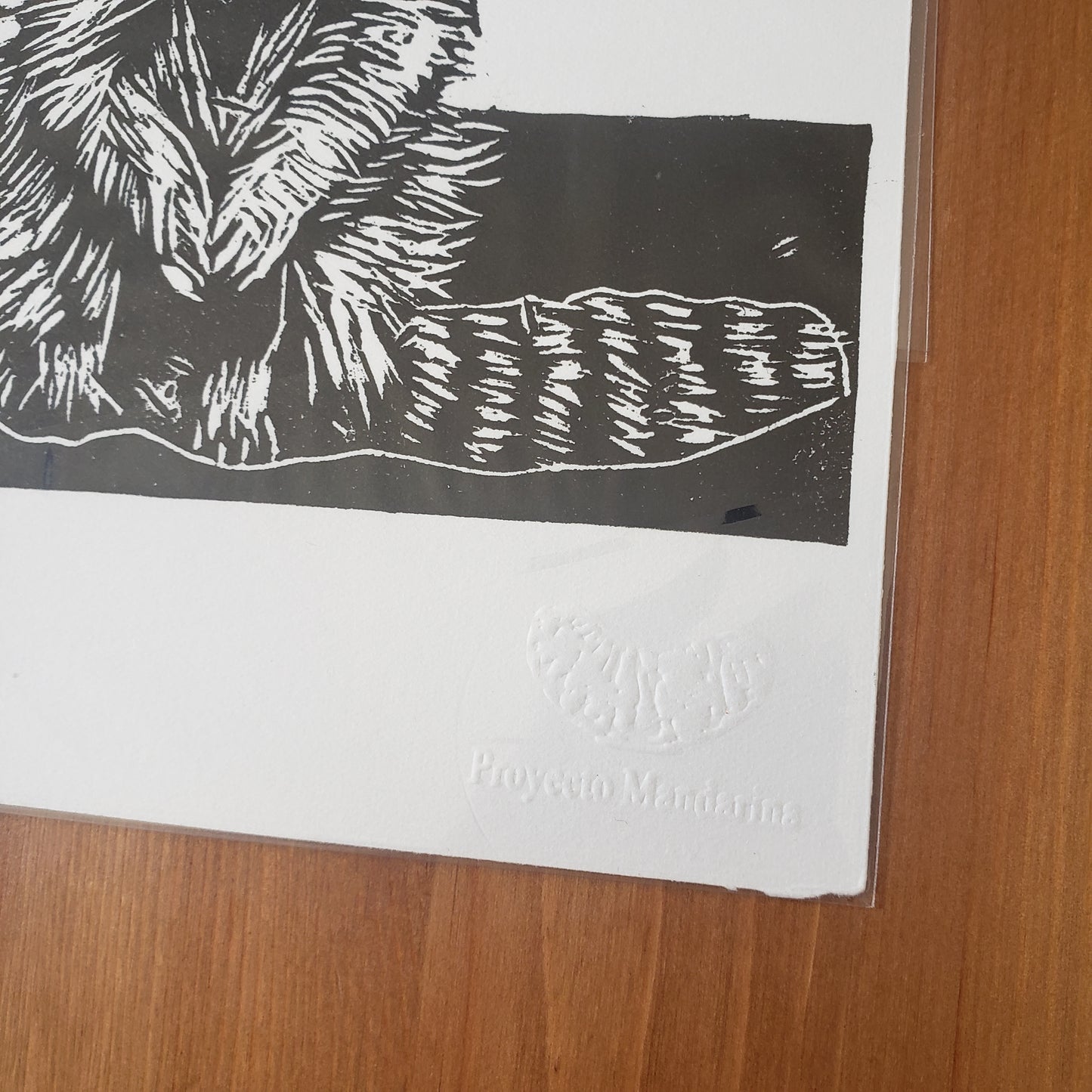 Tobal Art Prints from Oaxaca, Mexico