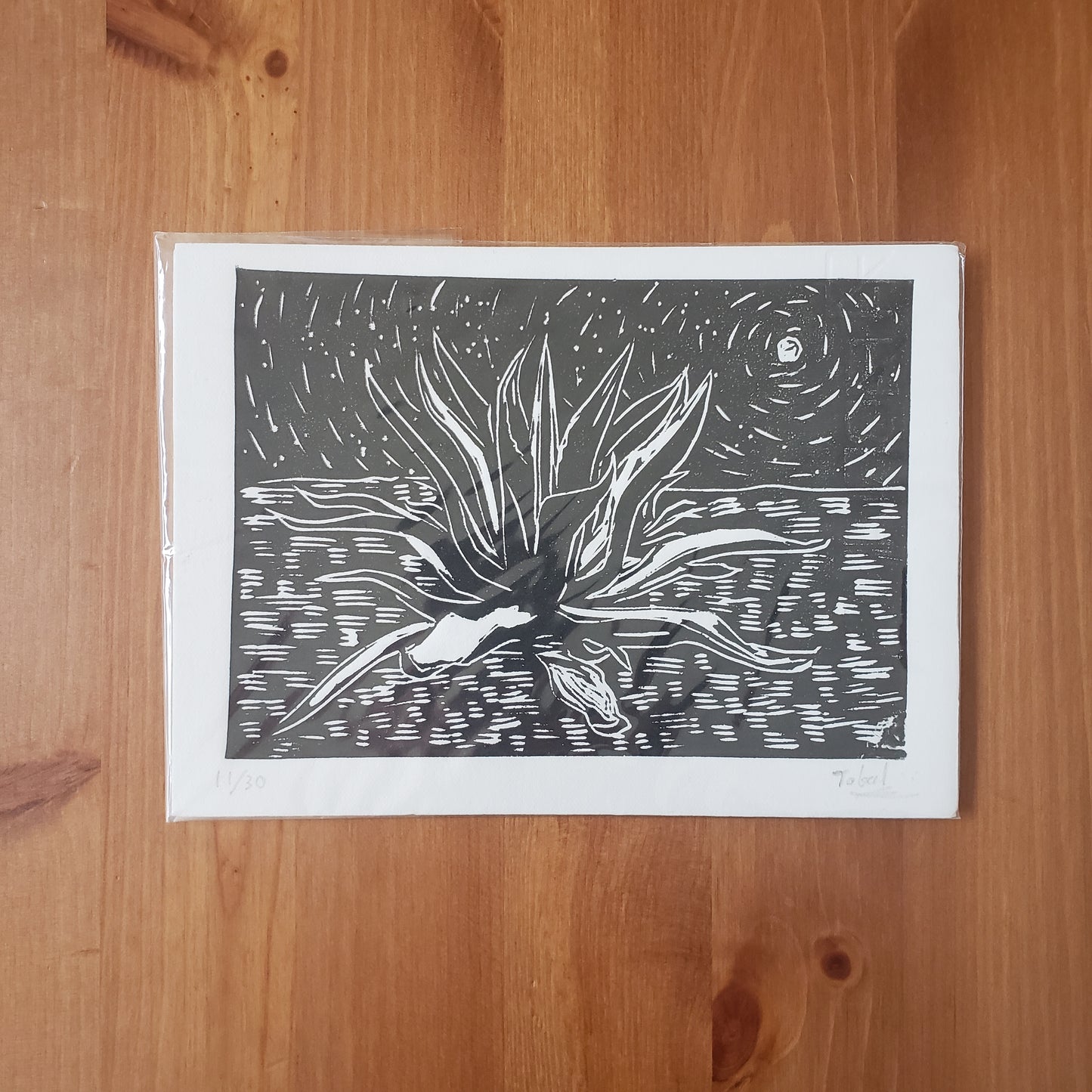 Tobal Art Prints from Oaxaca, Mexico